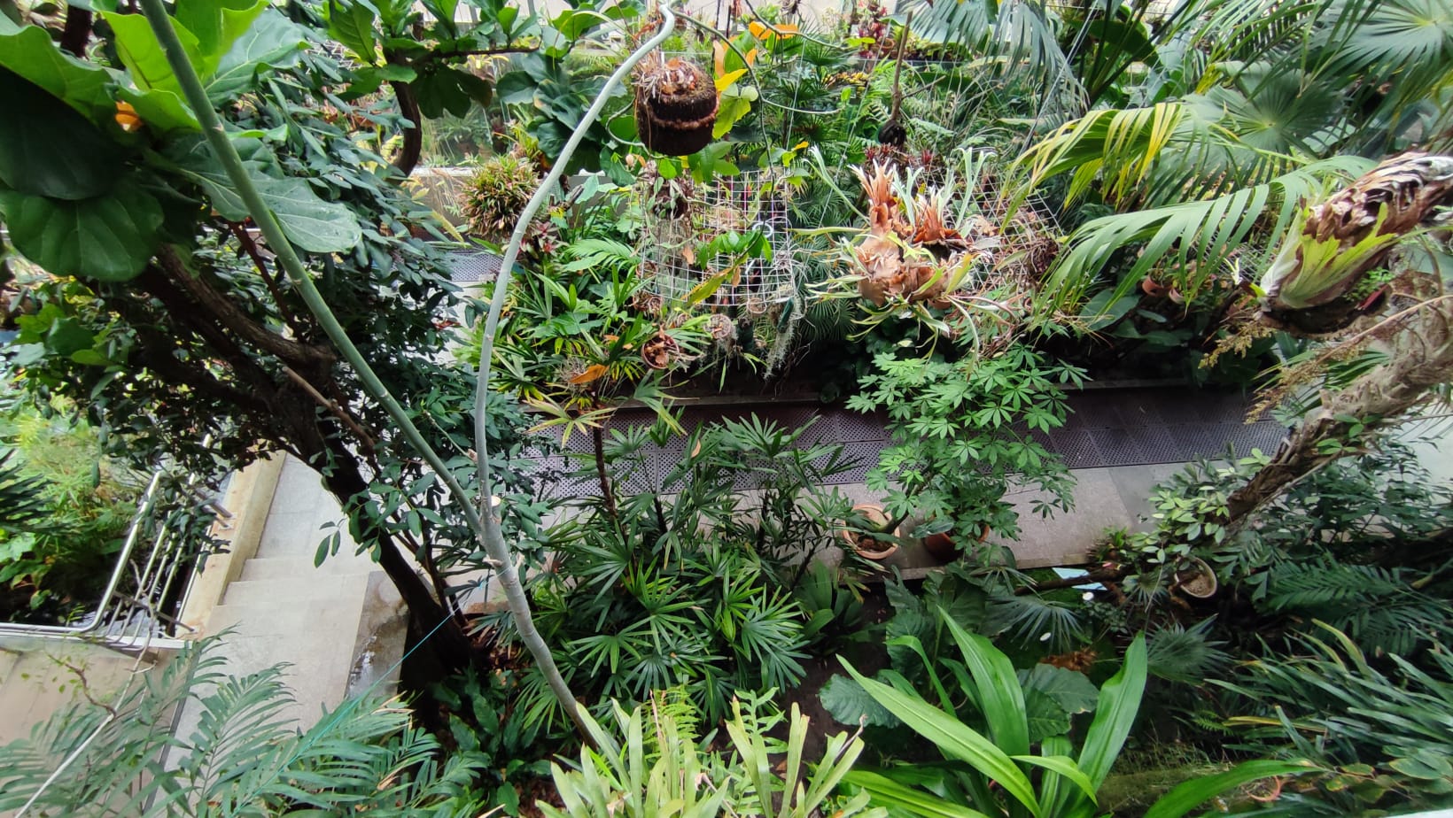 IMG-20230430-WA0056